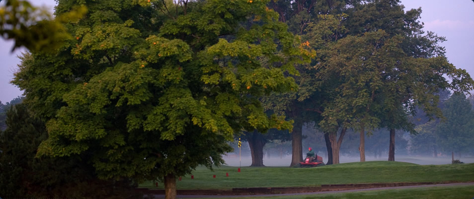  p>圣母大学(university of notre dame,又译为诺特丹大学),简称notre
