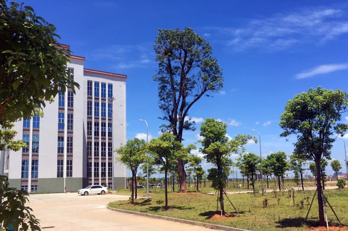  p>江西洪州职业学院(jiangxi hongzhou vocational college)是经 a