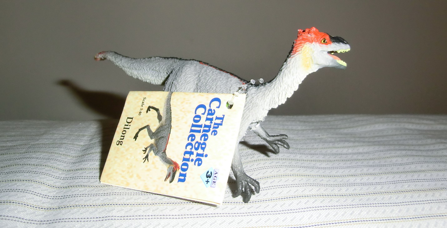 中华盗龙(sinraptor)