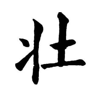 壮（汉语文字）_百度百科