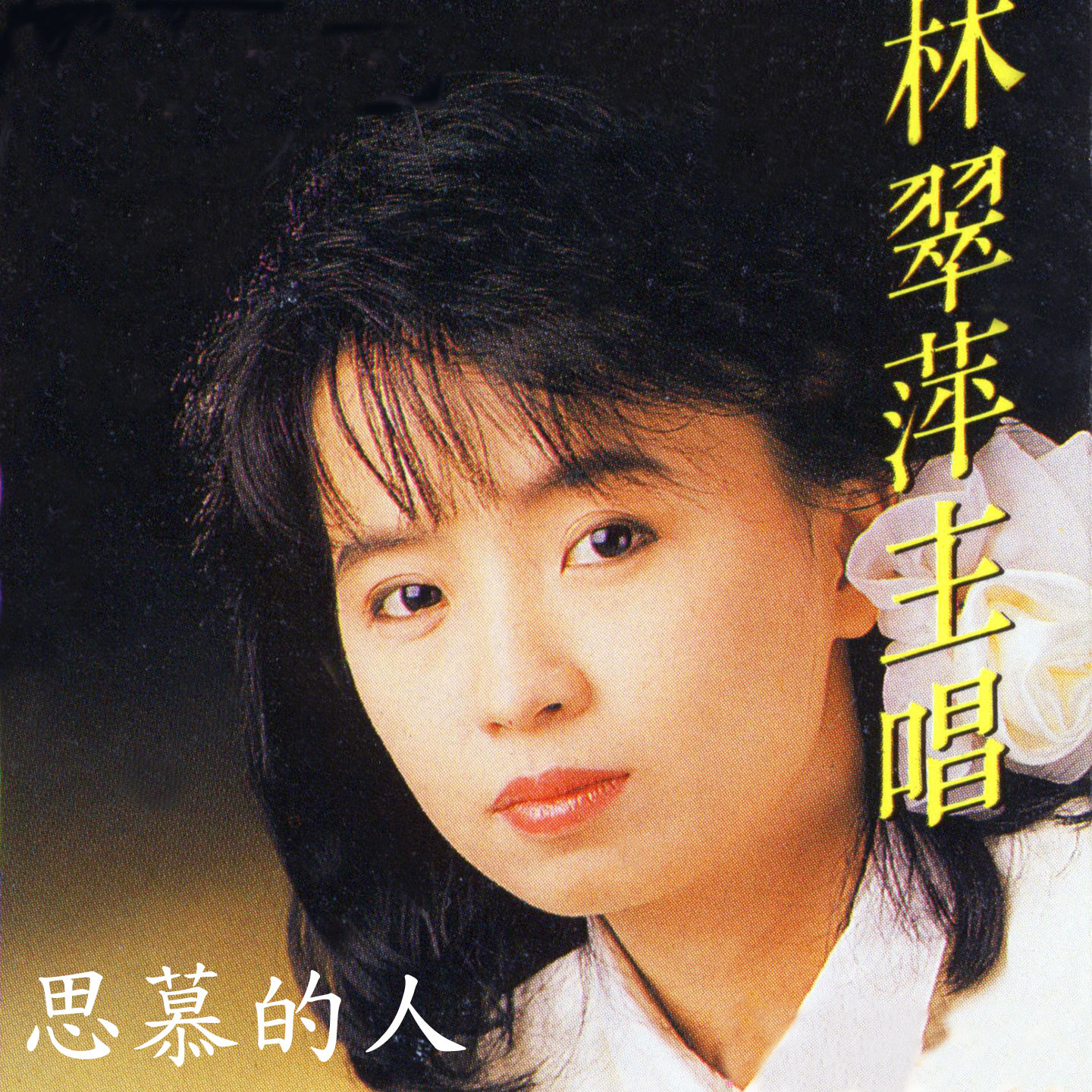  p>《从海归来的莉露》是由庄啟胜作词,渡久地政信作曲,林翠萍演唱的