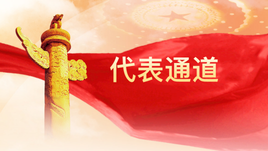 代表通道_百度百科