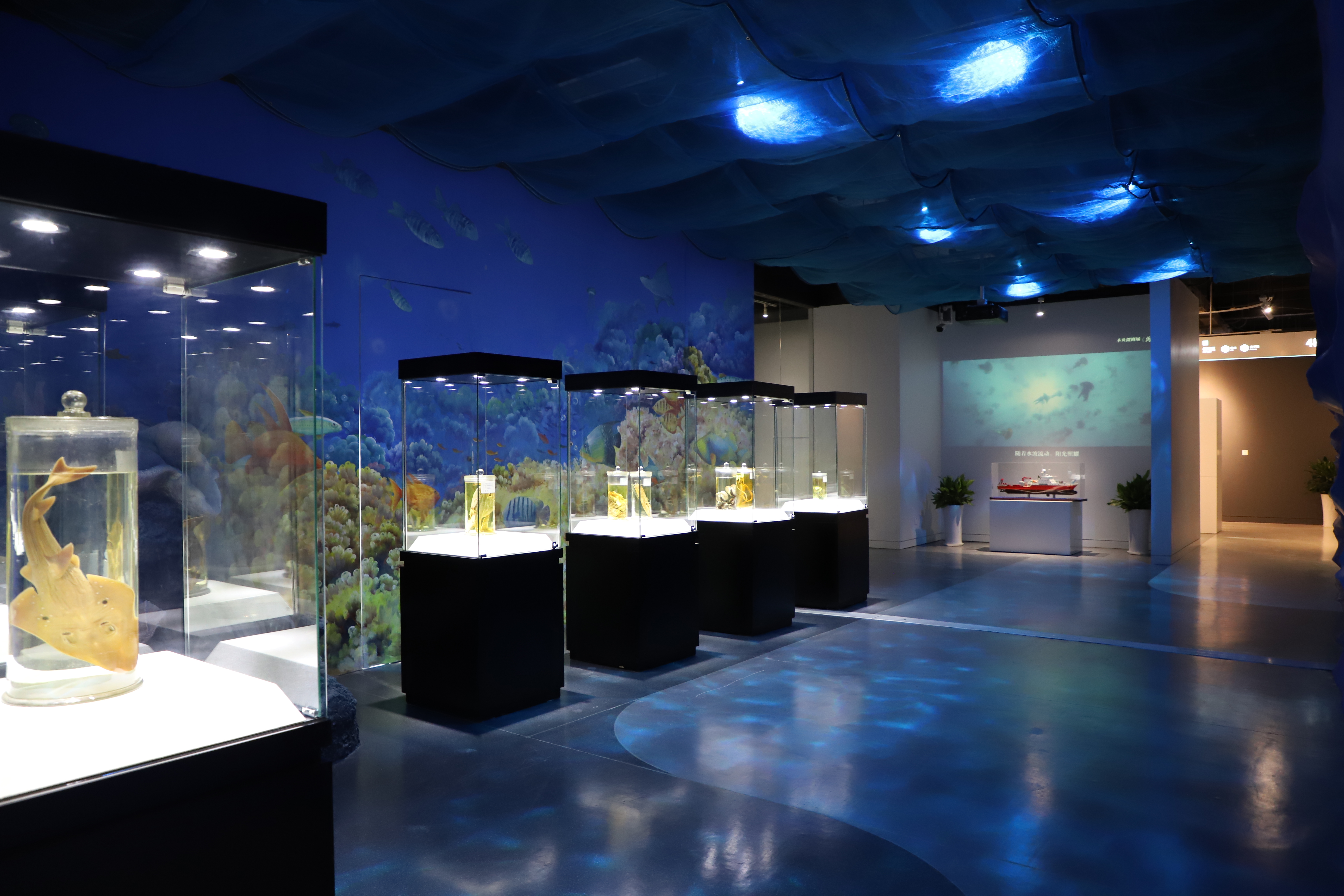 科学发现馆,自然探索馆,世界消费电子博物馆,海信历史文化馆以及25