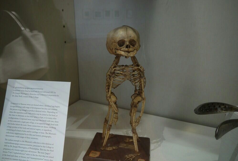 费城马特博物馆