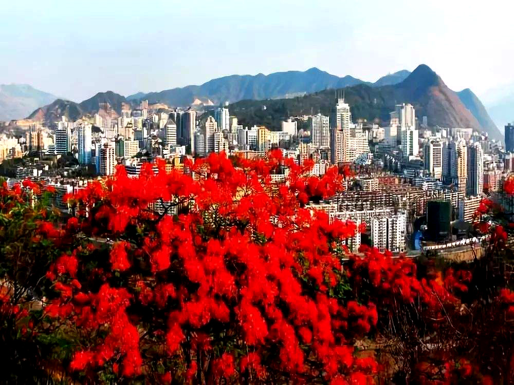 四川攀枝花市，以铁矿闻名世界，为何却以花来命名？_百科TA说