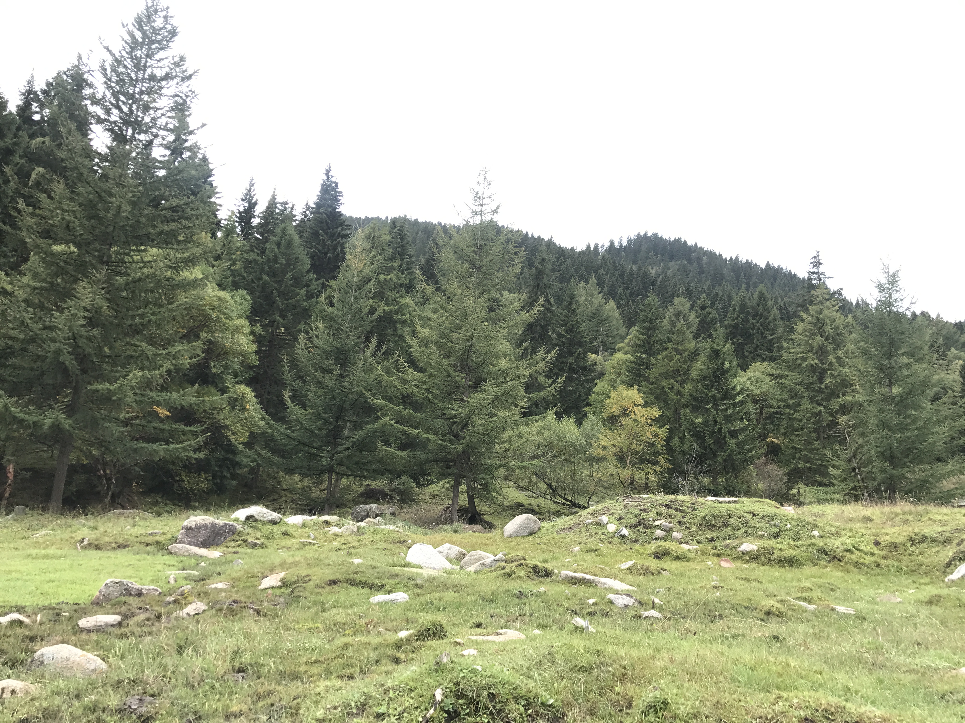 兰州竹林沟自然保护区