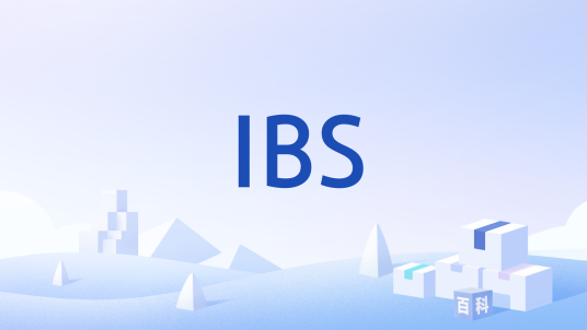 IBS（智能系统）_百度百科