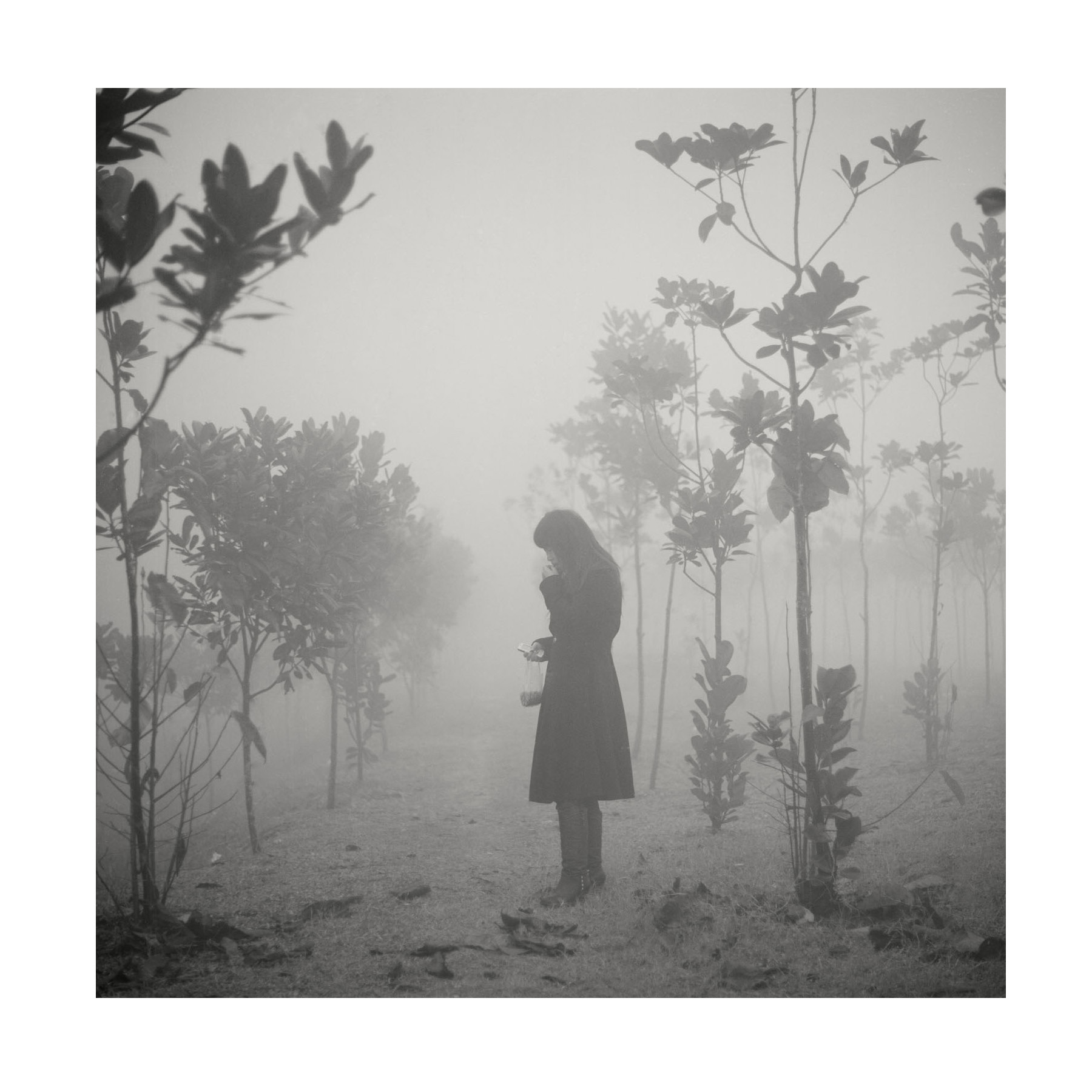 曾获2013年度美国 pdn 摄影界新闻杂志年度摄影师奖,日本 ima 摄