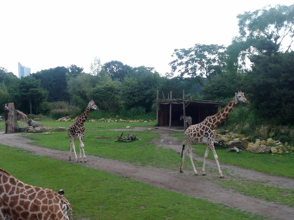 莱比锡动物园