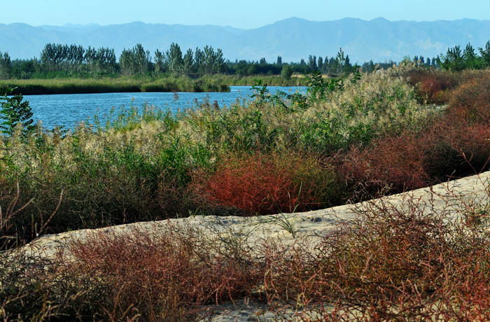  p data-id="gnvjfbui6c">万荣西滩景区位于 a target="_blank" href=