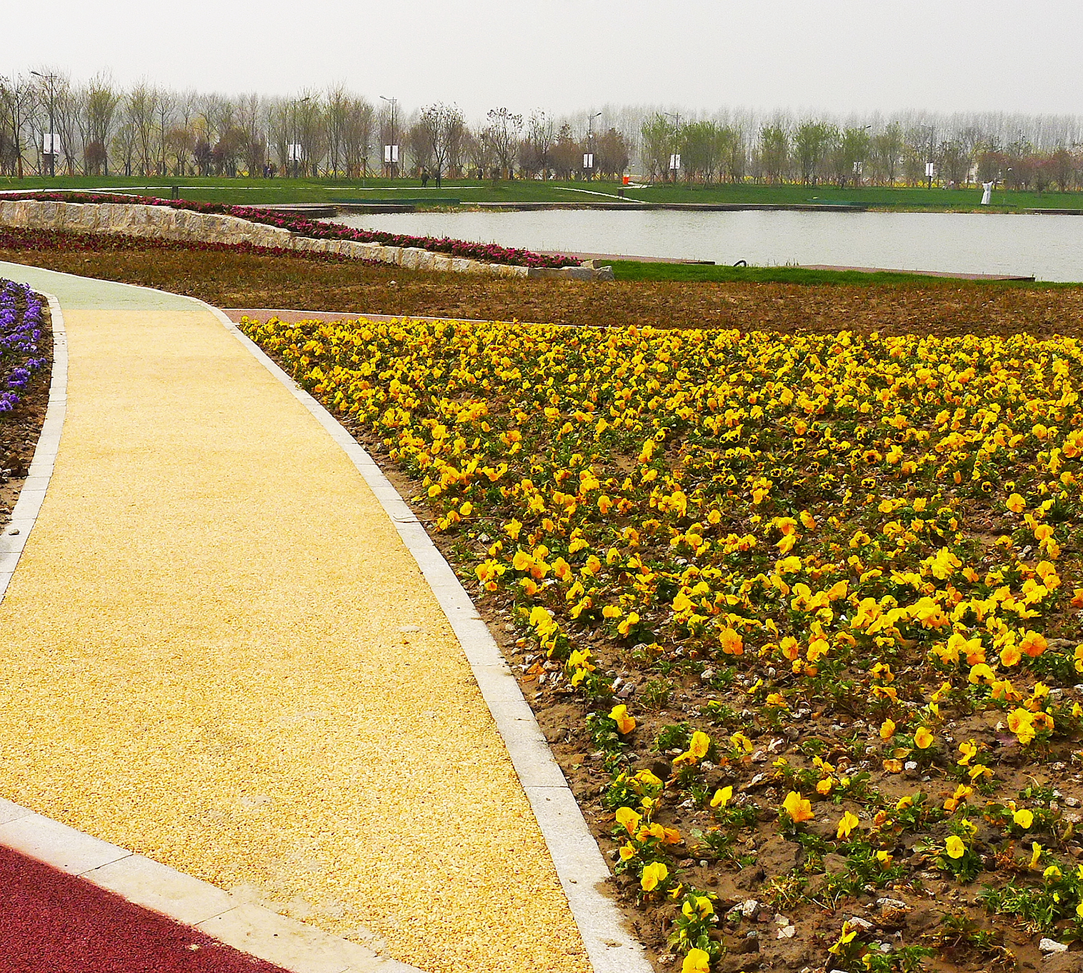 大洋湾湿地公园