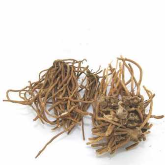 白薇（夹竹桃科白前属植物）_百度百科