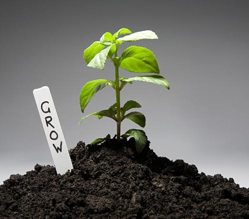 土壤肥力 百度百科