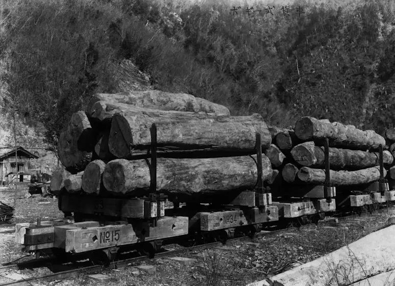 省和内蒙古自治区等林业产地,是上世纪林区运输木材的重要运送方式