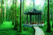 白鹿岛生态旅游区