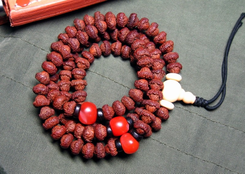 水分分配原因造成同树的桩型分成了两种,一种为矮桩的磨盘莲花菩提,一