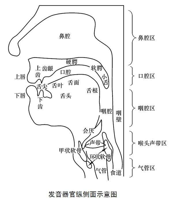  p>吐字归音,是指中国传统 a target="_blank" href="/item/戏曲声乐