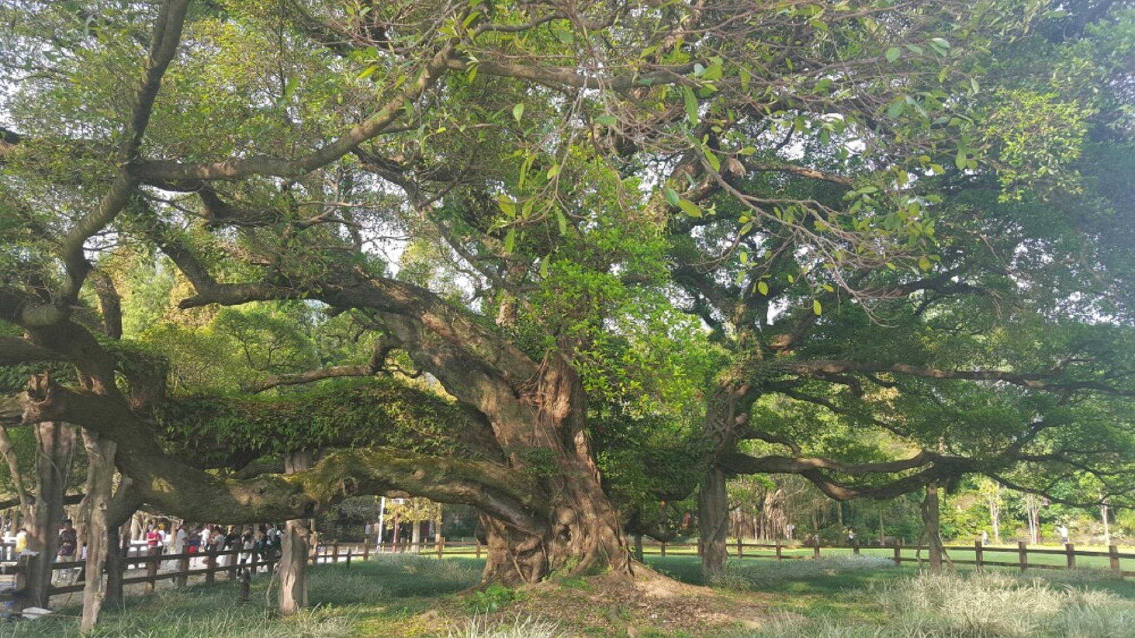 福州国家森林公园