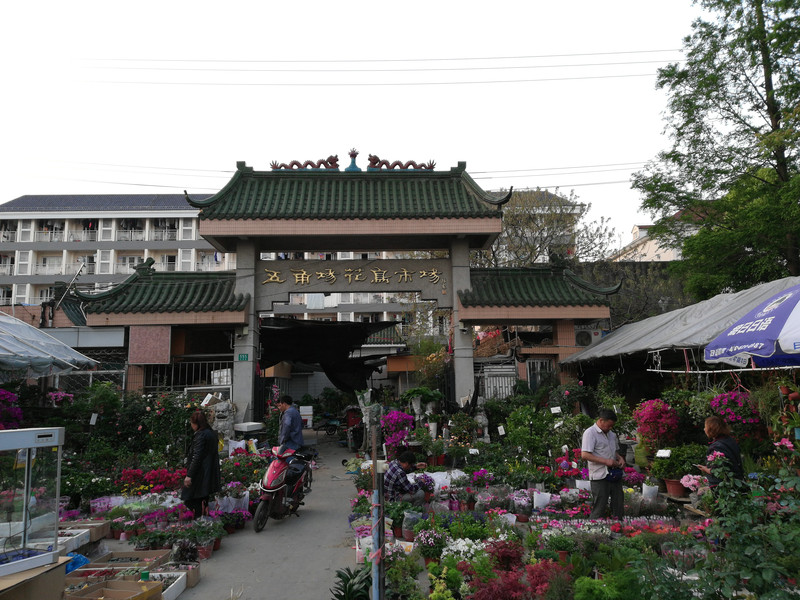 五角场花鸟市场