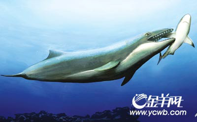  p>龙王鲸(学名:basilosaurus,意为帝王 a target="_blank" href="