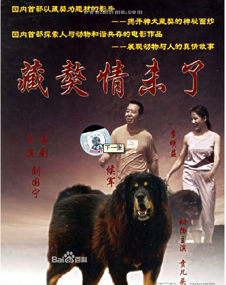  p>《藏獒情未了》是由北京光影百年文化传播有限公司,电影频道节目