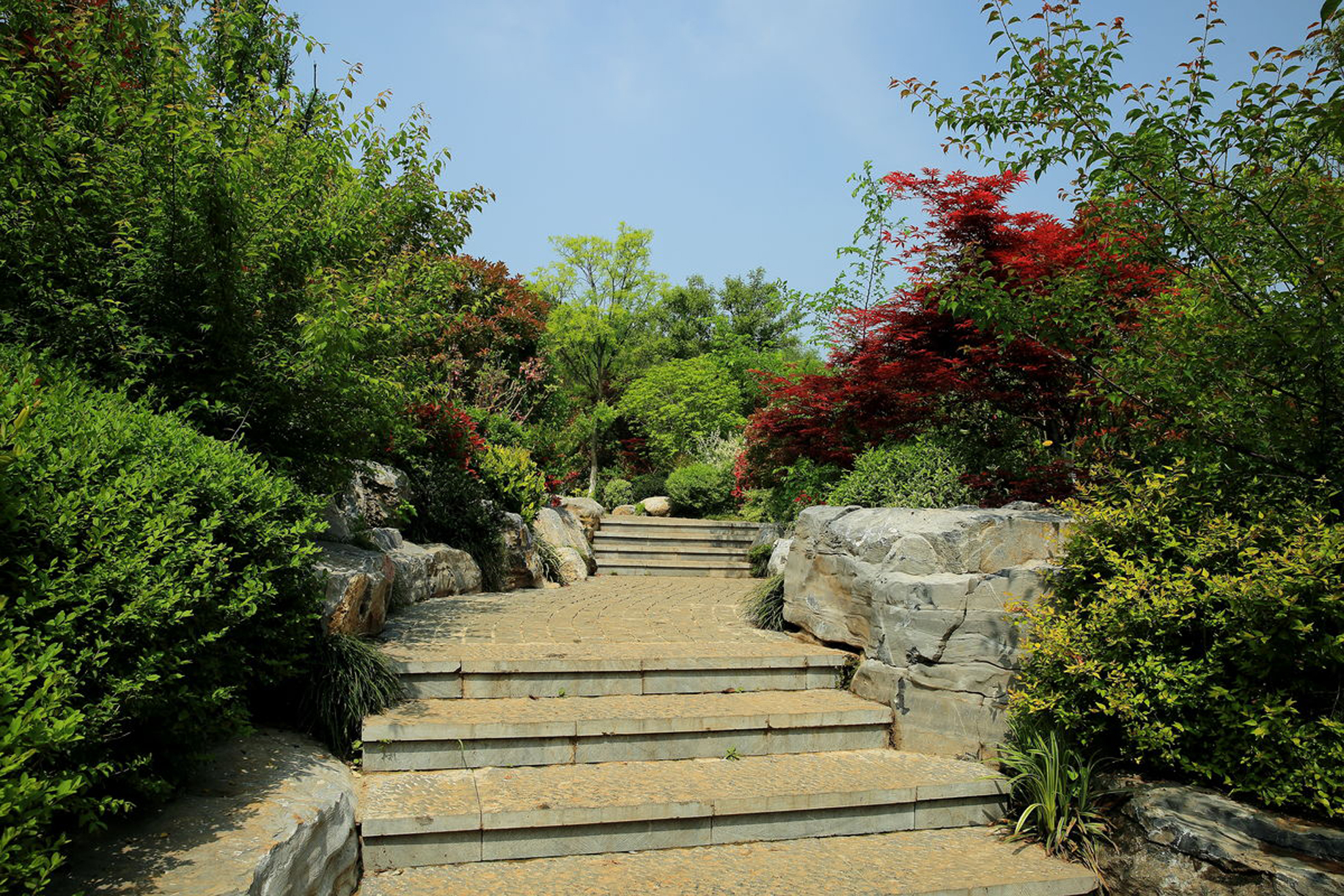 徐州泉山国家森林公园