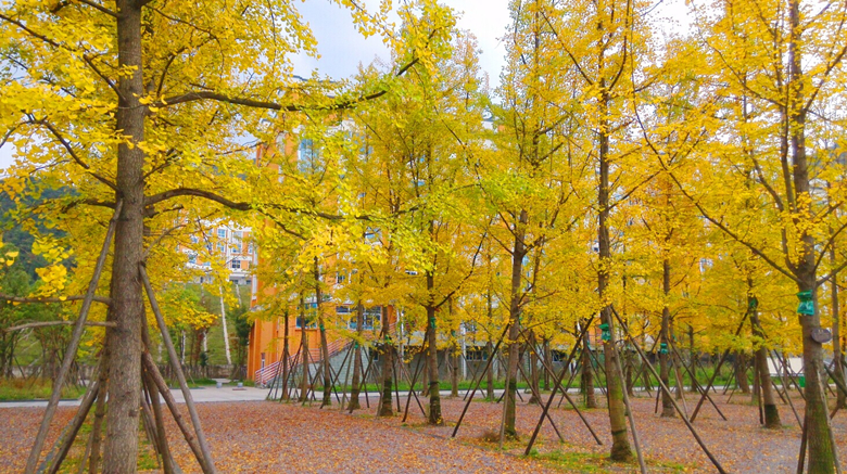  p>六盘水师范学院(liupanshui normal university)位于贵州省 a