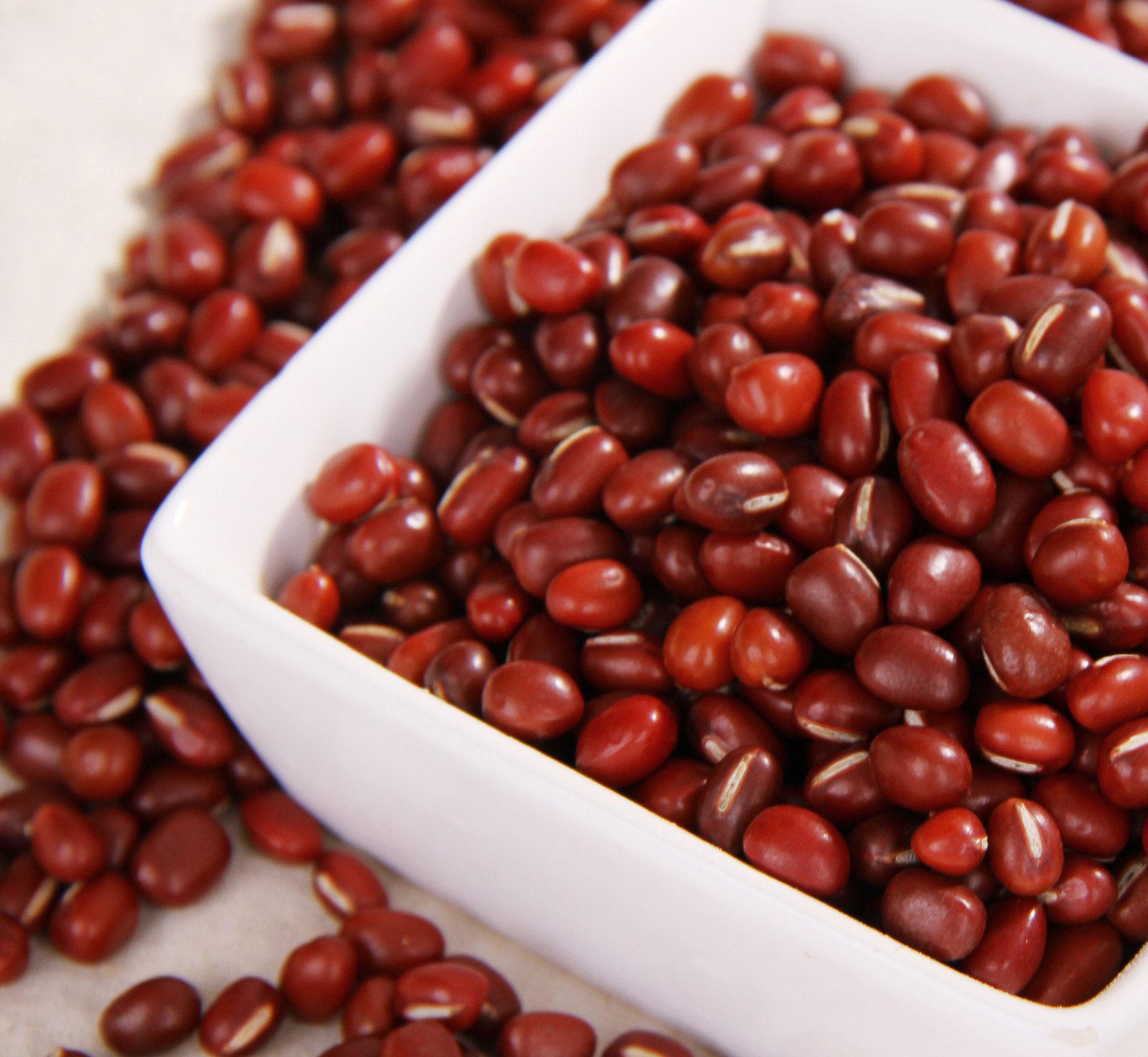  p> b>亮毛红豆 /b>(学名: b> i>ormosia sericeolucida /i> /b>)是