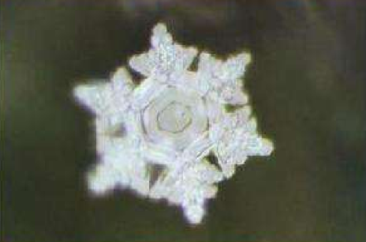 在1小时保温时间内能完成再 a href="#">结晶 /a>过程的最低温度,称为