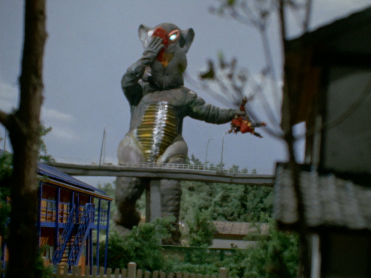 美菲拉斯星人第二代