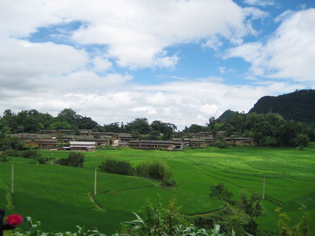  p data-id="gnwzok4s2n">平坝镇,隶属云南省文山壮族苗族自治州 a