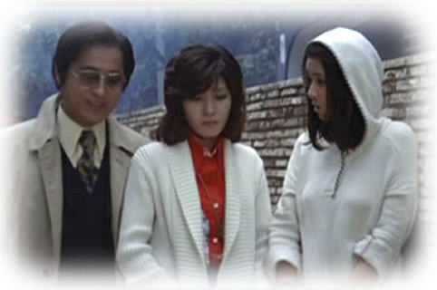  a target="_blank" href="/item/秋吉久美子">秋吉久美子 /a>, a