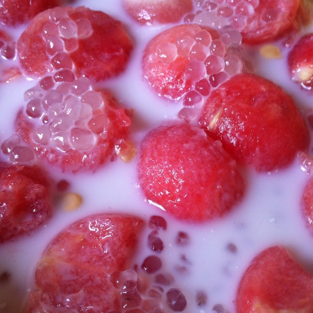 西瓜椰奶西米露