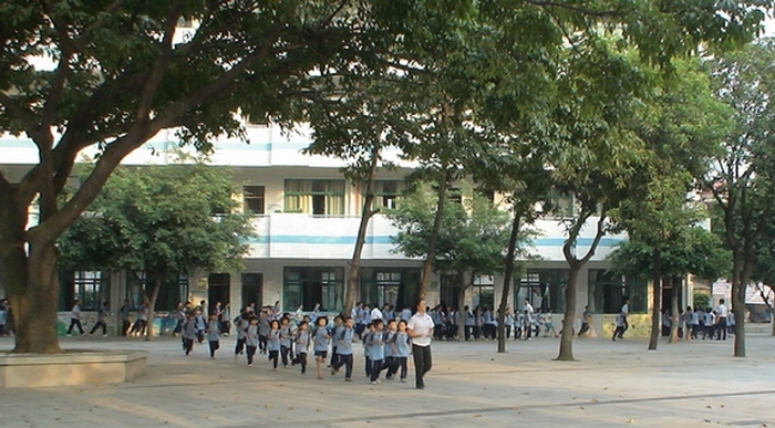 莘村中学附属中英文小学