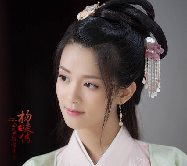 回到明朝当王爷之杨凌传