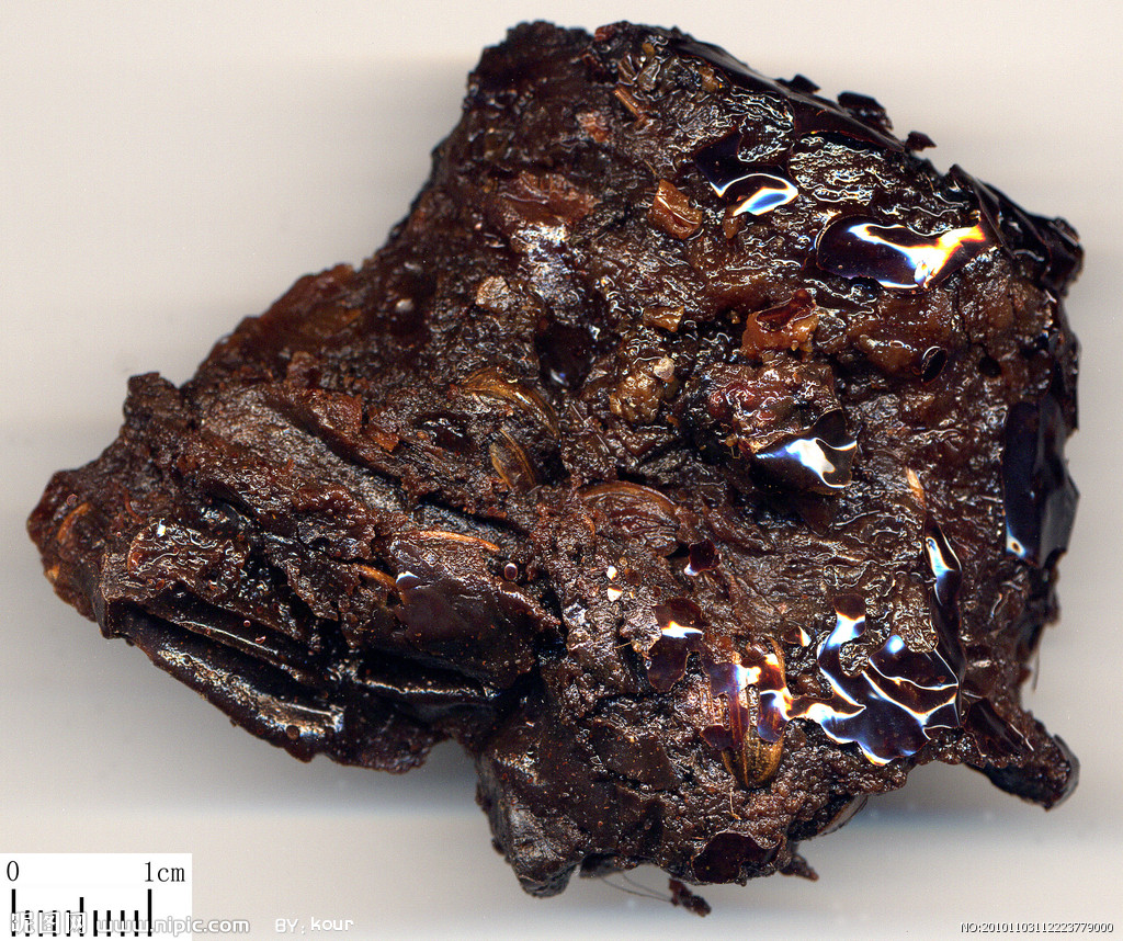 m. shen)是伞形科阿魏属植物,多年生一次结果的草本,高0.5-1.