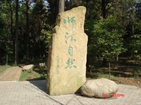 师法自然