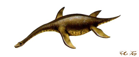  p>薄片龙是晚期 a href="#" data-lemmaid="7554264">蛇颈龙类 /a>的