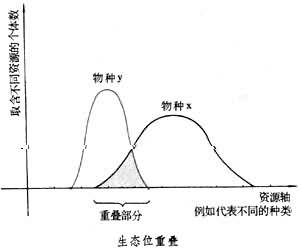  p>生态位是指一个种群在生态系统中,在时间空间上所占据的位置及其与