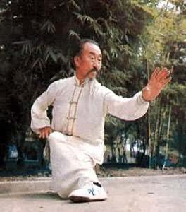 宋氏形意拳（起源于中国的武术拳法）_百度百科