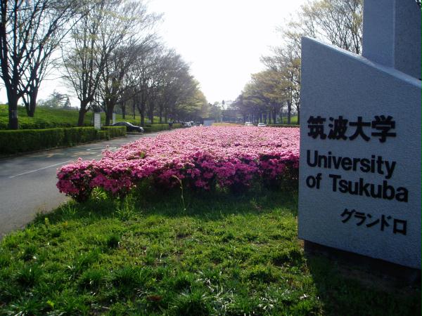  p>筑波大学(英文:university of tsukuba),简称筑波大,校区位于日本 