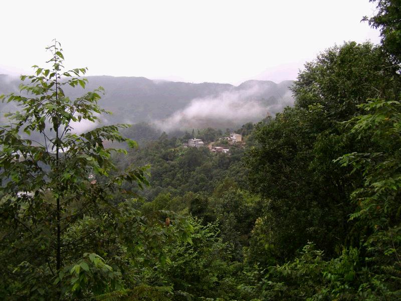 e14heev">阿波良子村隶属于云南省红河州绿春县大水沟乡大水沟行政村