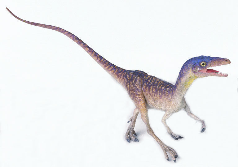  p>暴龙类(tyrannosaurs)是晚白垩世后半段最成功兽脚类恐龙类群,雄霸