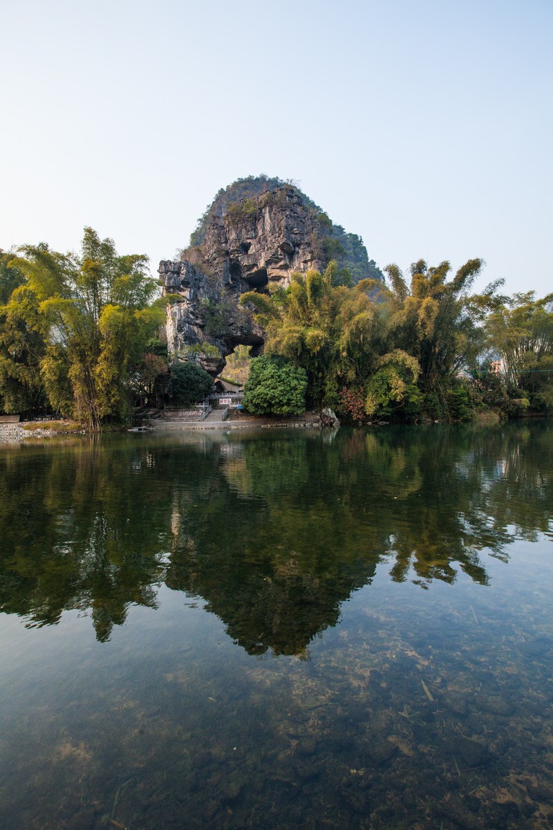 阳朔大榕树