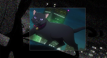  p>《darker than black -黑之契约者-》是由日本动画公司 a target="