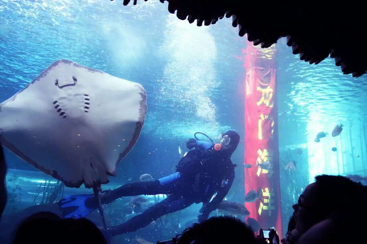  p>龙门海洋馆位于千年帝都洛阳市 a target="_blank" href="/item