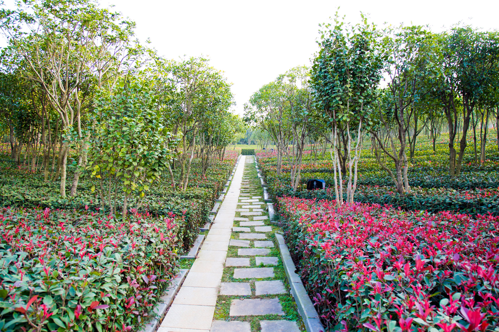  p data-id="gnaxtev5ht">武汉八叠山生命公园位于 a target="_blank"