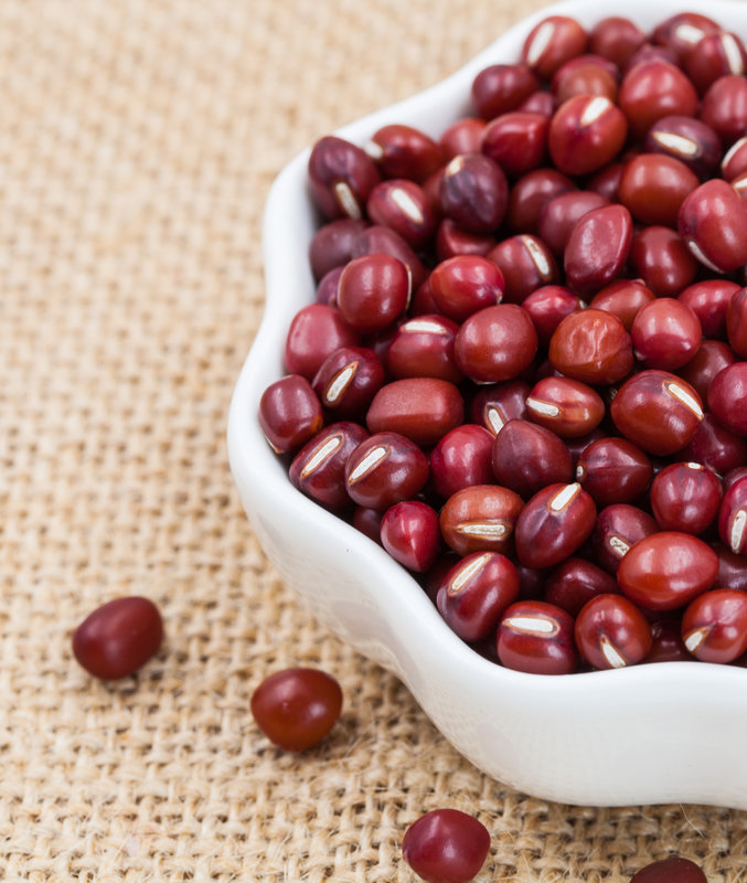 vigna angularis (willd.) ohwi et ohashi