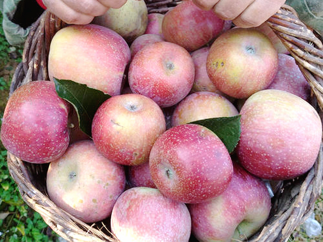 ">日照市 /a> a target="_blank" href="/item/五莲县/2460128" data