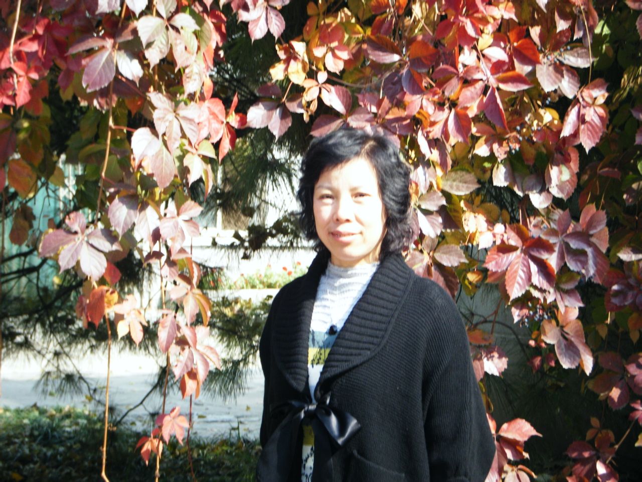  p>侯文宜,女,1960—,山西省 a target="_blank" href="/item/宁武县"